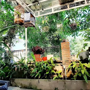 Fika By Mottainaihoian - Vietnamese Only Hoi An